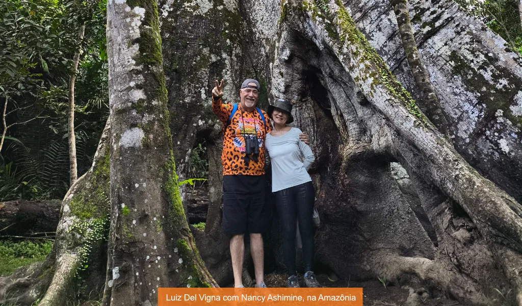 Green zones: por que a natureza deve estar no roteiro dos 60+